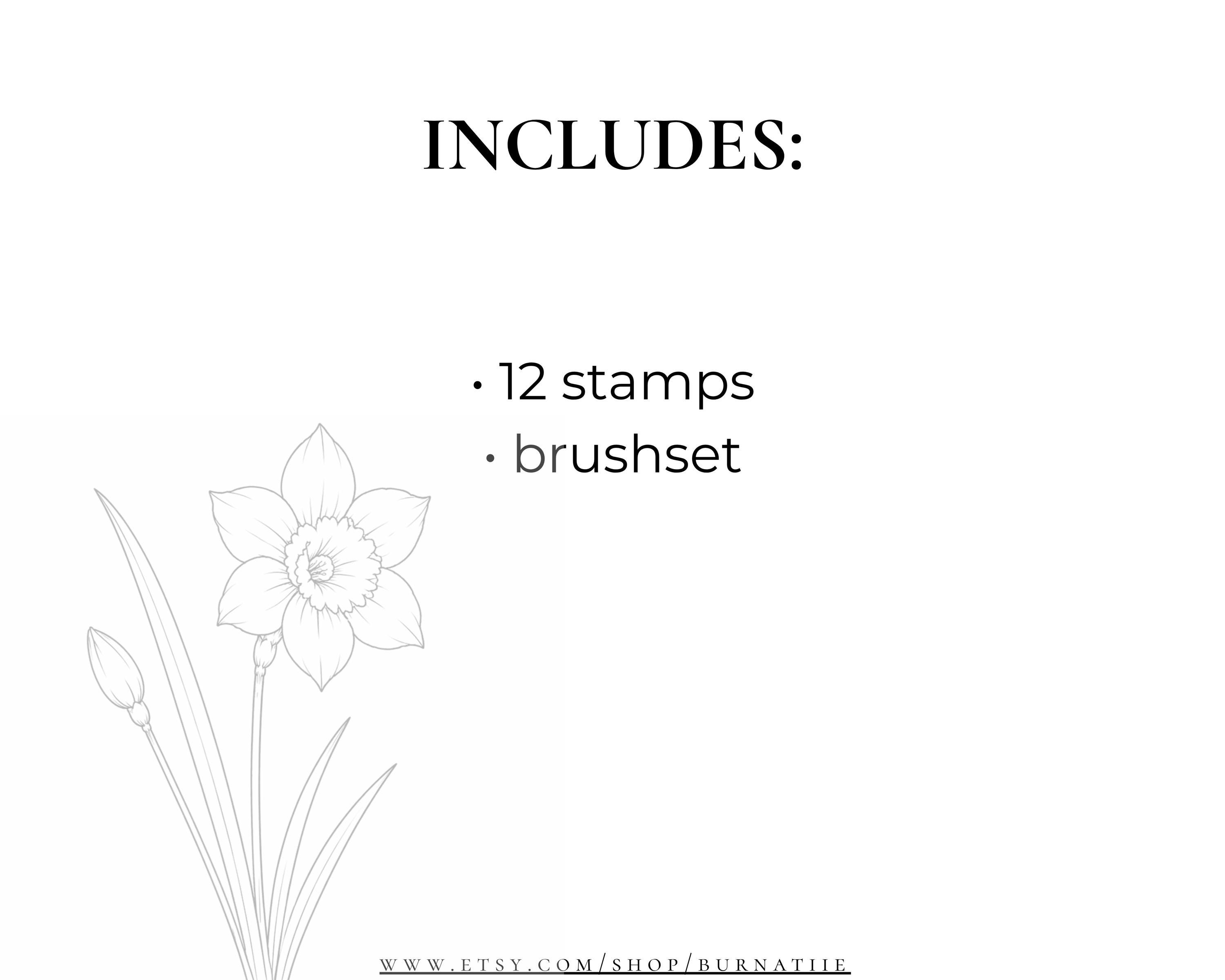 Procreate Birth Month Flowers | Fine Line Tattoo Floral Set | 12 Birth ...