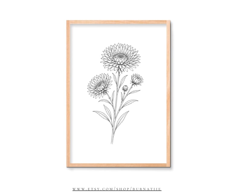 Procreate Birth Month Flowers | Fine Line Tattoo Floral Set | 12 Birth ...