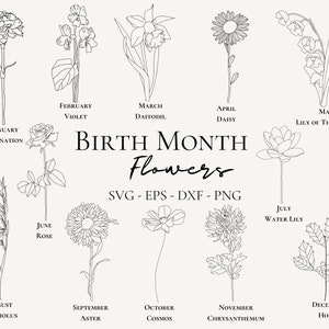 Birth Month Flower Line Art Birth Flower Svg Bundle Digital Hand-drawn Birth Flower Svg Minimalist Birth Flower Art Print Birth Month Floral