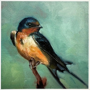 Carte de voeux - « Swallow » de Nicola King - collection British Birds - matériaux écologiques - carte d'art nature fantaisiste - carte vierge