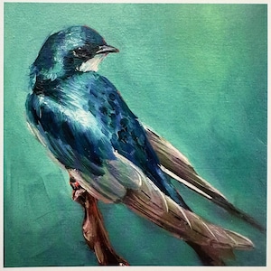 Carte de voeux - « House Martin » de Nicola King - collection British Birds - matériaux écologiques - carte d'art nature fantaisiste - vierge