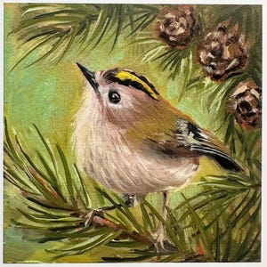 Carte de voeux - « Gold Crest and Pine Cones » de Nicola King - collection British Birds - matériaux écologiques - carte d'art nature fantaisiste - vierge