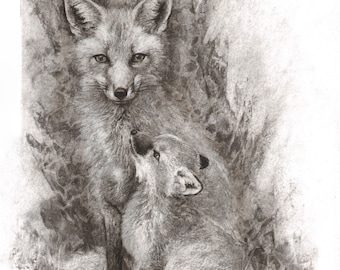 Wildlife art: “Earth” Vixen Fox with cub **Original charcoal drawing on canvas paper** ~ beautifully framed - 20.5x24.5” ~ by Nicola King