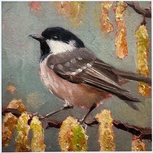 Carte de voeux - « Mésange charbonnière et chatons » de Nicola King - collection British Birds - matériaux écologiques - carte d'art nature fantaisiste - carte vierge