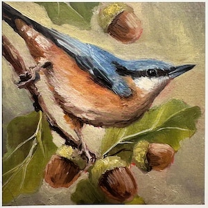 Carte de voeux - « Nuthatch and Acorns » de Nicola King - collection British Birds - matériaux écologiques - carte d'art nature fantaisiste - vierge