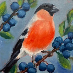 Bullfinch and Blackthorns / Day 21 - 30 British Garden Birds Collection / ORIGINAL ARTWORK / Framed / wildlife art by Nicola King