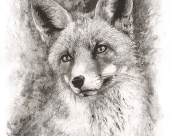 Wildlife art: "Imagine” Fox portrait **Original charcoal drawing on canvas paper** ~ beautifully framed - 28.5x22” ~ by Nicola King