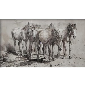 May include: A grayscale artwork depicting a herd of horses. The horses are standing close together, with their bodies and manes rendered in shades of gray and white. The artwork has a textured, almost sketched appearance, with a neutral background.