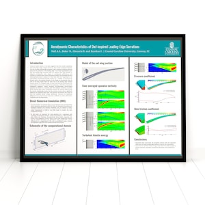 Conference Poster