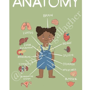 Children&#39;s Anatomy Poster