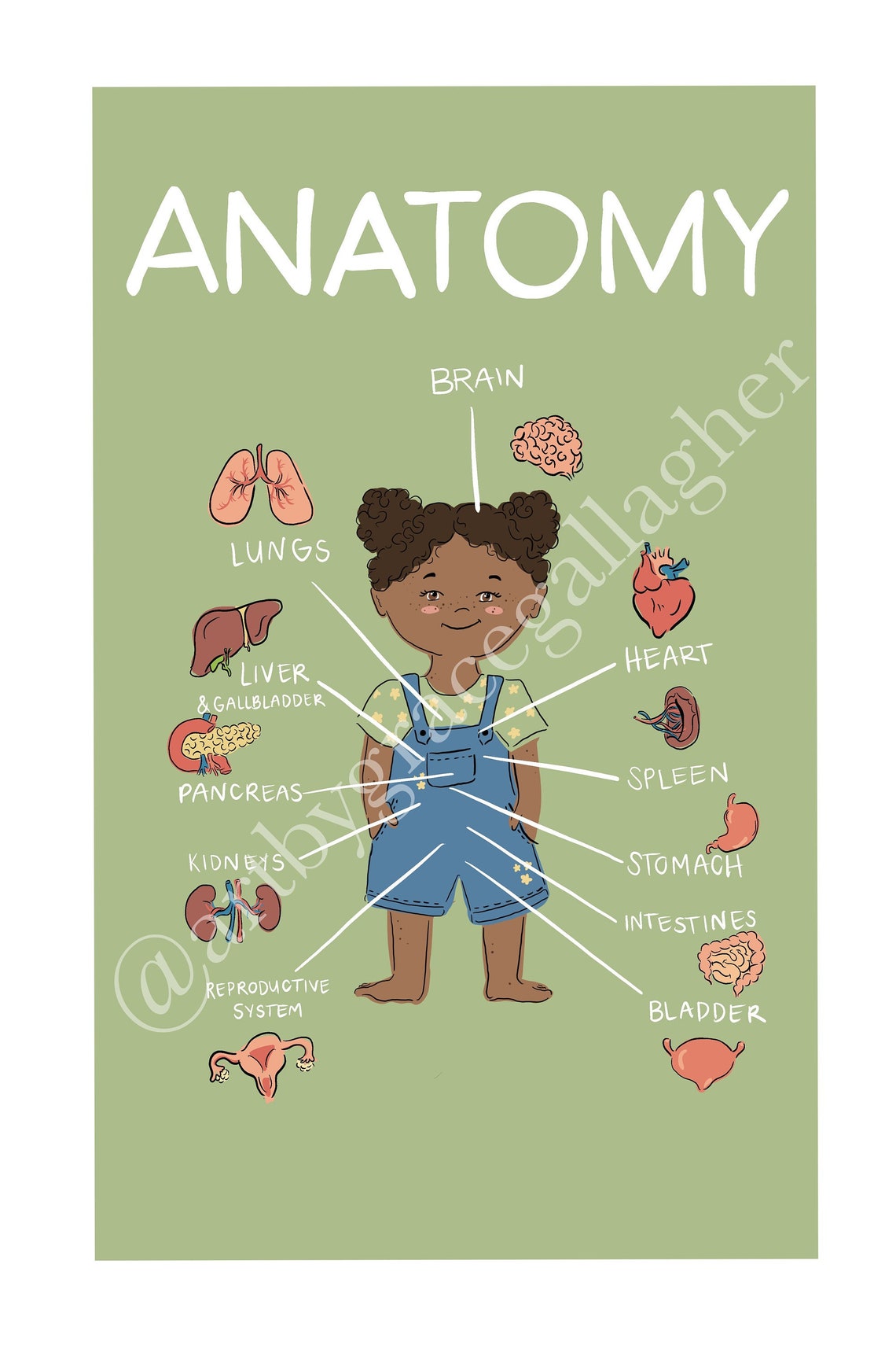 Children's Anatomy Poster Etsy