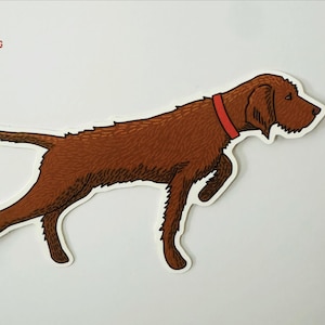 Hungarian Wirehaired Vizsla (HWV) Pointing Dog Vinyl Sticker