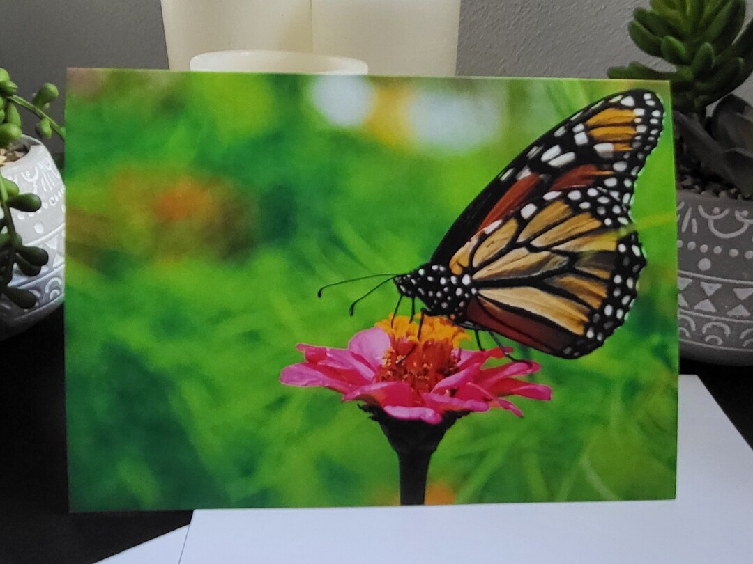 Blank Butterfly Photo Card, Nature Greeting Card Monarch Birthday Card ...