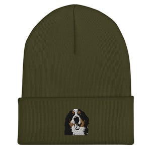 May include: A green beanie with a brown and white Bernese Mountain Dog embroidered on the front.