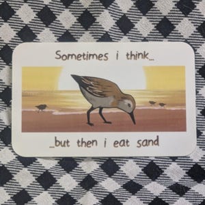 Sometimes I Think, But Then I Eat Sand Sandpiper Sticker