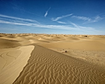 Desert Sand Dunes