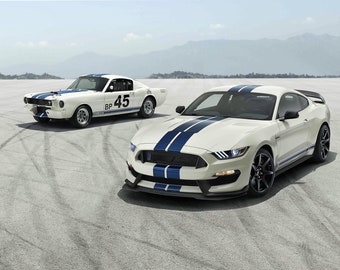 1965 2020 Ford Mustang Shelby GT350 24 X 36 Inch Poster Beautiful!