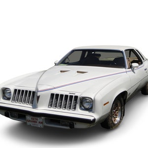 1974 Pontiac Grand Am White 24 X 36 Inch Poster Beautiful!