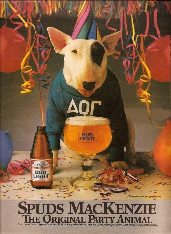 Spuds mackenzie light - Etsy Polska