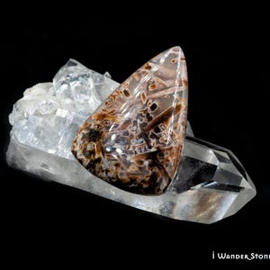 Puede incluir: Una gema pulida en forma de lágrima, con patrones marrones y negros, colocada sobre un cristal de cuarzo transparente. La gema tiene una superficie brillante sobre un fondo negro. Incluye el texto "i Wander Stones and Jewelry".