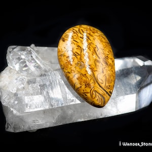 May include: A teardrop-shaped, yellow and brown agate cabochon with a swirling, organic pattern. The stone is displayed on a bed of clear quartz crystals.