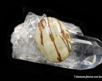 Oval Cherry Creek Jasper Cabochon: Earthy Landscape Stone