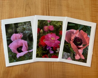 Pink poppy flowers featured on blank photo greeting cards