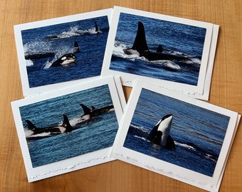 Killer whales (orcas) off Saturna Island blank photo greeting cards