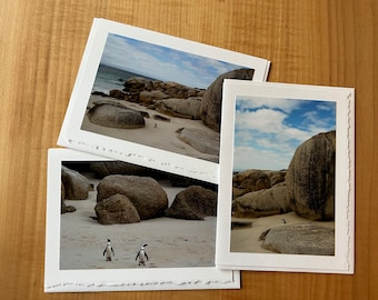 Penguins at Boulder, South Africa photo greeting cards