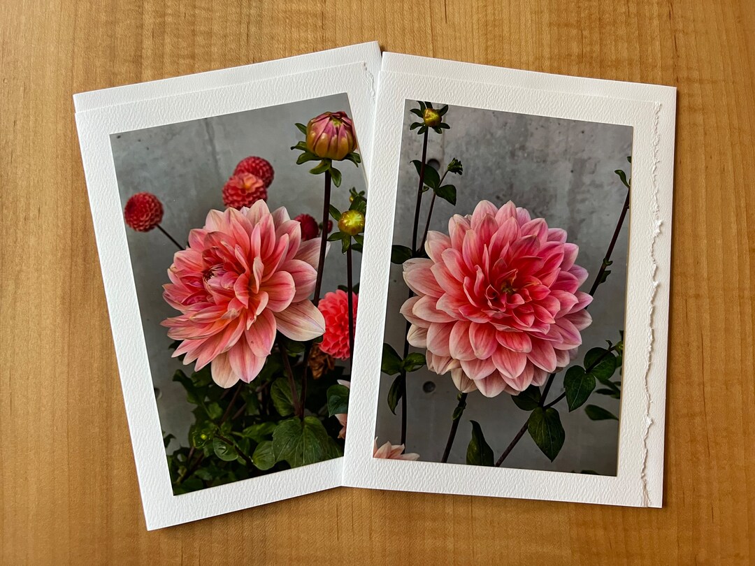 Dahlia Flower, Blank Photo Greeting Cards - Etsy