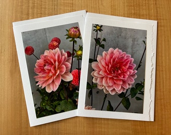 Dahlia flower photo greeting cards