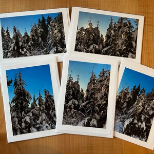 Scènes hivernales enneigées dans les montagnes - cartes de vœux vierges avec photo
