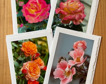 Roses - blank photo greeting cards