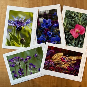 Belles fleurs, cartes de voeux photo vierges