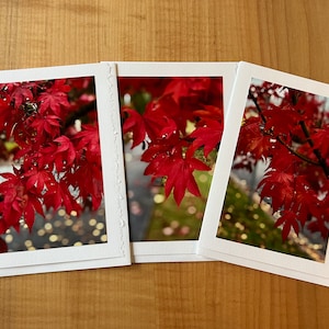 Cartes de vœux photo de feuilles d’automne