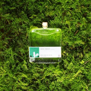 Puede incluir: Una botella de vidrio rectangular llena de líquido verde, con un tapón claro y una etiqueta blanca. La etiqueta muestra un cuadrado verde con una ilustración de una ardilla blanca, el texto MOSS FOREST y BRING YOUR OWN NATURE.