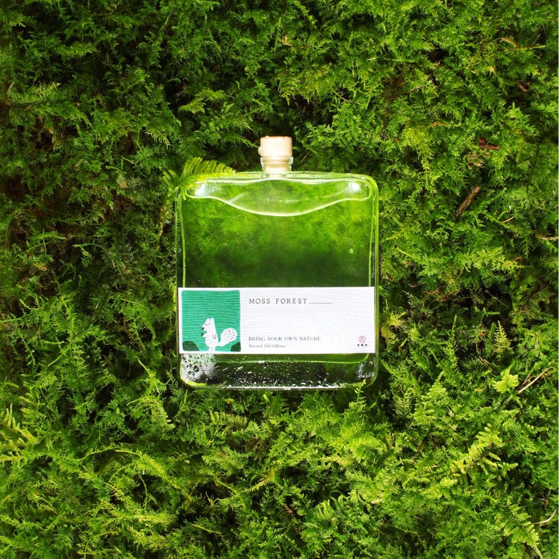 Op de afbeelding: Een rechthoekige glazen fles gevuld met groene vloeistof, voorzien van een lichte dop en een wit etiket. Het etiket toont een groen vierkant met een witte eekhoornillustratie, de tekst MOSS FOREST en BRING YOUR OWN NATURE.