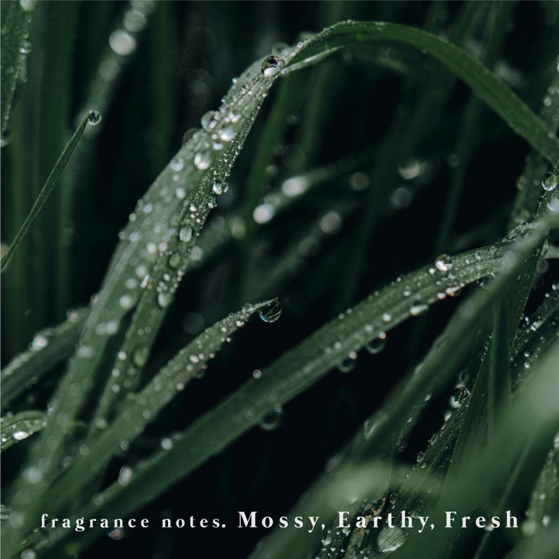 Op de afbeelding: Donkergroene grassprieten bedekt met heldere waterdruppels. De tekst onderaan de afbeelding luidt: fragrance notes. Mossy, Earthy, Fresh. De focus ligt scherp op de centrale grasspriet, terwijl het omliggende gebladerte wazig is.
