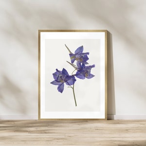 May include: A framed print featuring a botanical illustration of blue delphinium flowers. The flowers are a vibrant purple-blue hue, with delicate petals and a slender green stem. The artwork is set against a white background, framed in a light wood frame.
