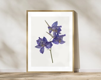 Pressed Iris Flower Digital Art Print, Purple Floral Printable Art, Wildflower Wall Art, Botanical Art Poster, Vintage Artwork, Country Home