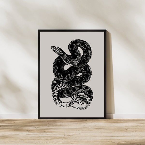 Impresión de arte de boceto de serpiente, dibujo de Python imprimible, descarga instantánea, cartel de arte de dibujo de línea de serpiente mínima, boceto de serpiente vintage