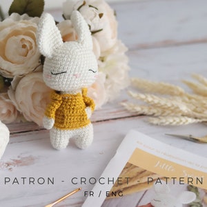 Crochet pattern - Bunny doll with hood | little boy | PDF - French, English pattern | baby gift - toy | amigurumi PDF