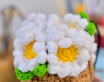 Daisy Basket haakpatroon, gehaakt bloempotpatroon, gehaakte Daisy hangplant, gehaakte hangers