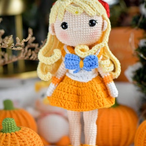 PDF File Amigurumi doll pattern crochet Amigurumi doll in English (US terms)