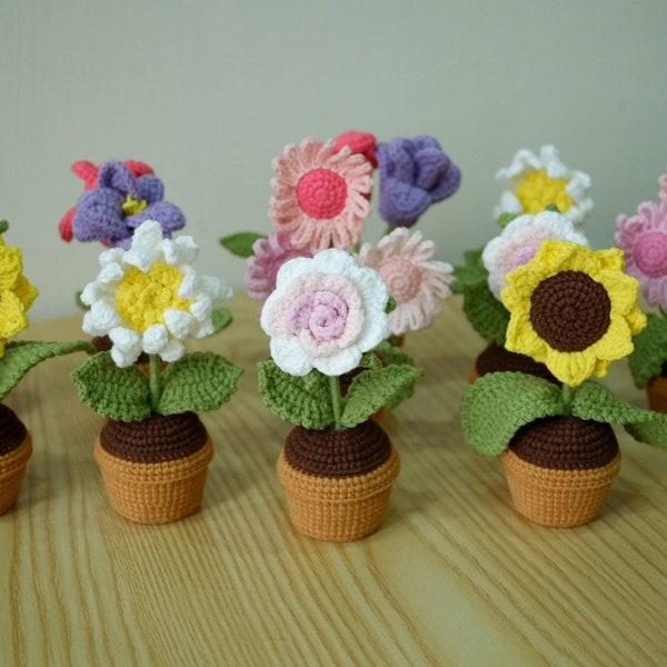 Fichier PDF 5 en 1, Mini pot de fleurs au crochet, motif de pot de fleurs au crochet, cache-pot, fleurs au tricot, mini marguerite au crochet, mini tulipe au crochet