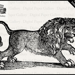 Vintage woodcut lion illustration instant download digital printable clip art iron on transfer 300dpi png file for sublimation black & white