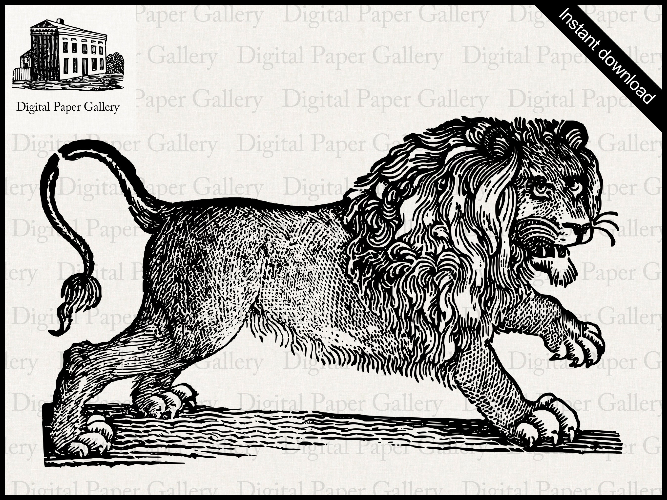 ランキング2024 Lion Woodcut Vintage Illustration Digital Download Instant 文房具・ステーショナリー