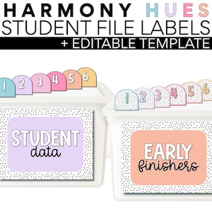 Studenten Datei Labels | Zurück in die Schule | Harmonie Farbtöne | Klassenzimmer-Planung | Bearbeitbar | Soft Pastell Regenbogen Dekor | Klassenzimmer Dekor