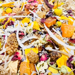 Sweet Sensations Treat Blend - Foraging Blend for Birds