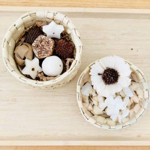 Coco-Bliss Box - Mini Foraging Box for Parrots and Small Animals